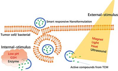 Smart Responsive <mark class="highlighted">Nanoformulation</mark> for Targeted Delivery of Active Compounds From Traditional Chinese Medicine